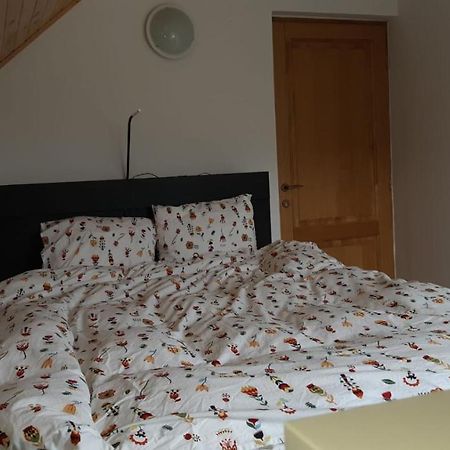 Strada Tiszas Vacation House 바일레 투슈나드 외부 사진