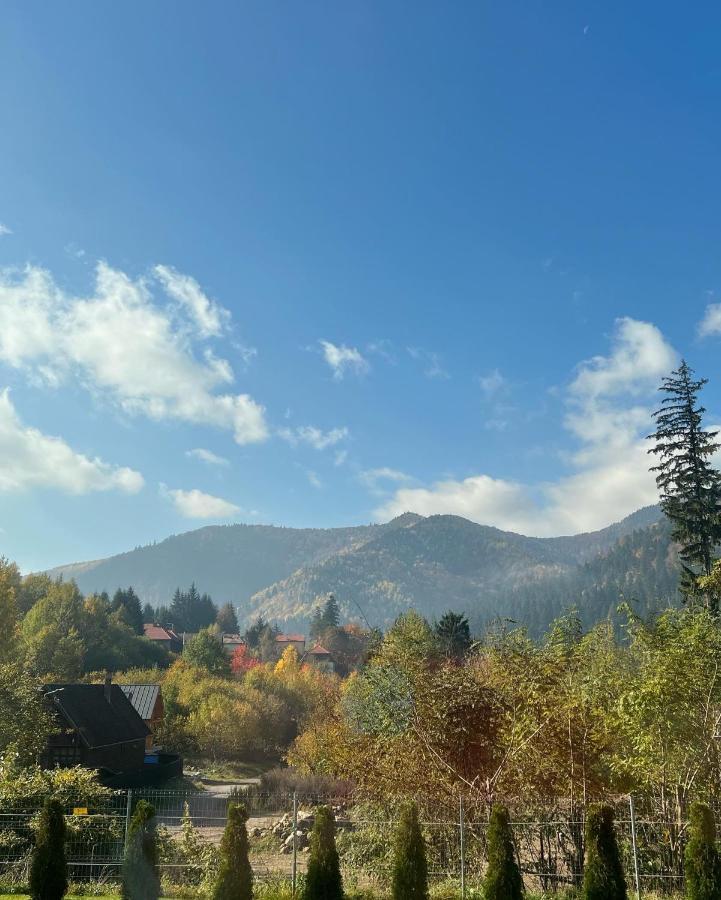 Strada Tiszas Vacation House 바일레 투슈나드 외부 사진