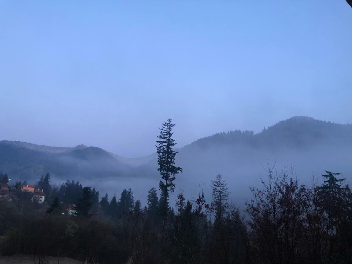 Strada Tiszas Vacation House 바일레 투슈나드 외부 사진